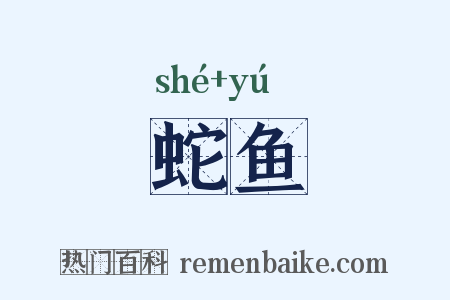 蛇鱼是什么意思的图片